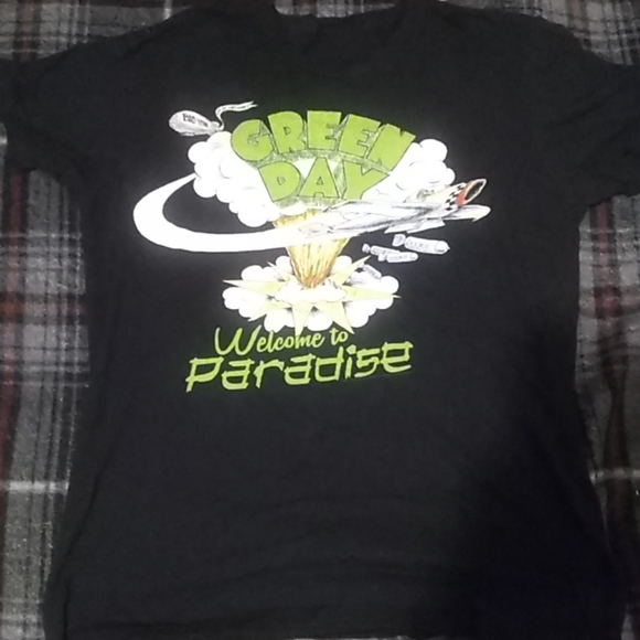 Shirts Vintage Green Day Dookie Era Tshirt Poshmark